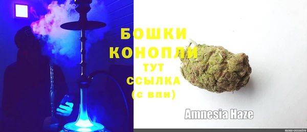 спиды Нея