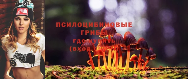 спиды Нея